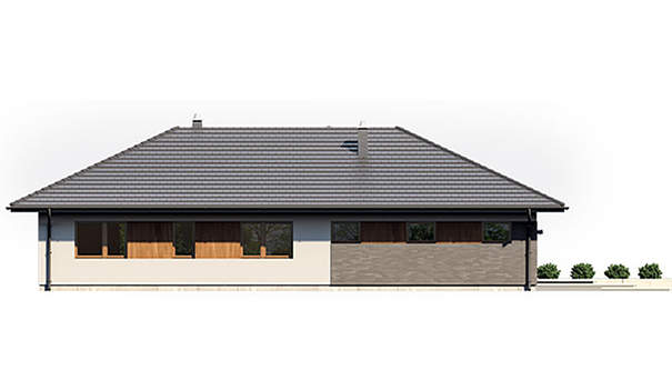 Visualization gallery - Project of a modern house