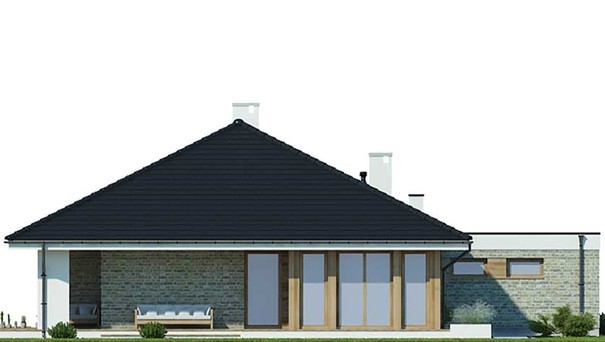 Visualization gallery - One-story house with huge windows in the living room