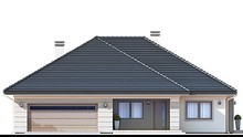 Visualization gallery - One-storey house with an open spacious terrace