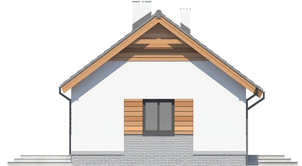 Visualization gallery - One-storey house with a living area of 100 squares