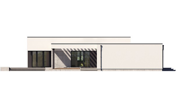 Visualization gallery - Modern one-story snow-white cottage