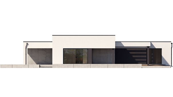 Visualization gallery - Modern one-story snow-white cottage